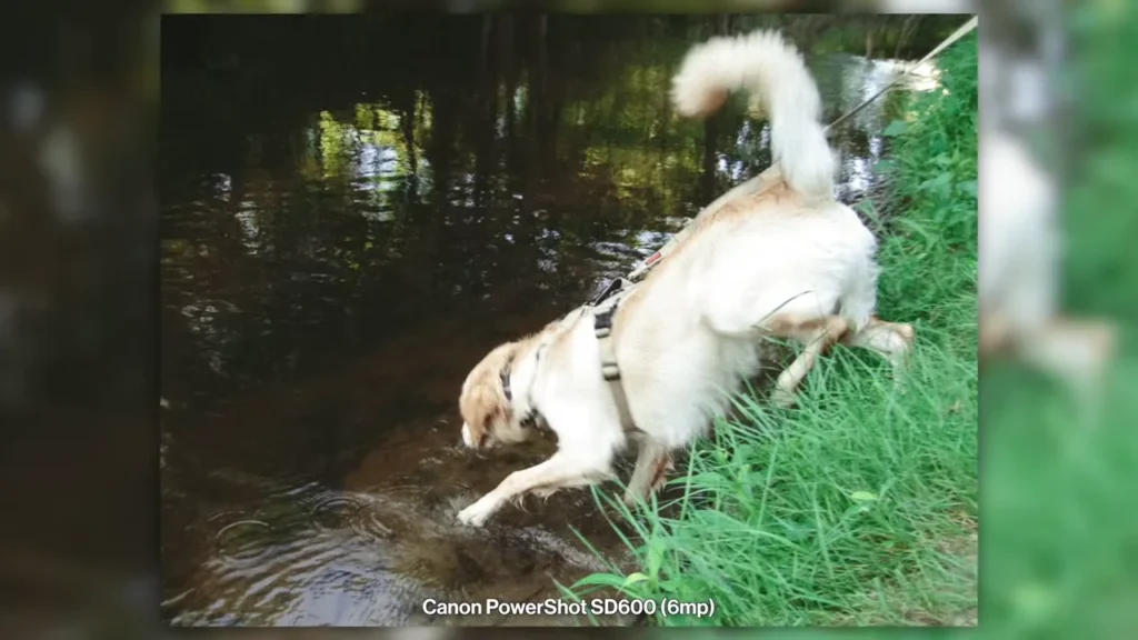 good and cheap camera