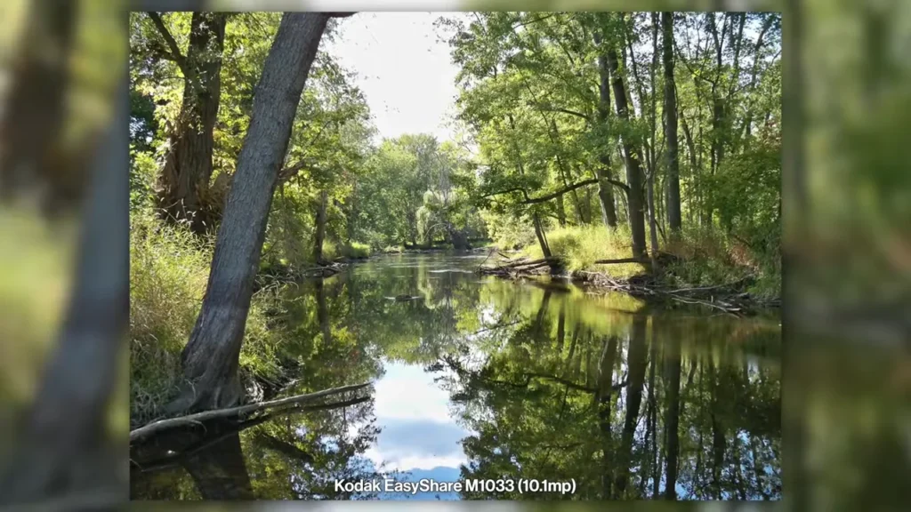 top rated affordable digital cameras