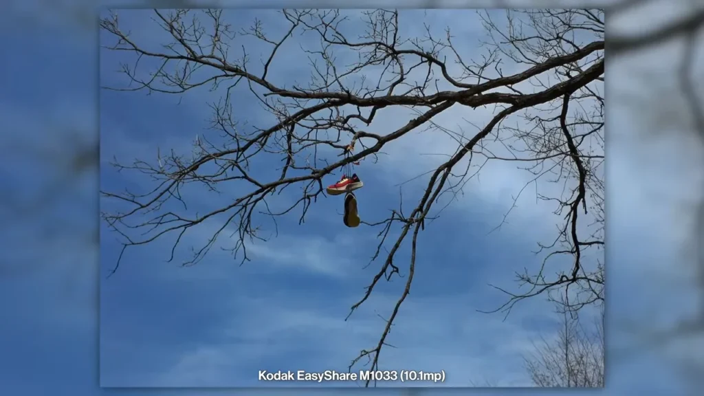 best reasonable digital camera